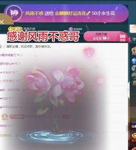 金麒麟好运连连🎤主播照片
