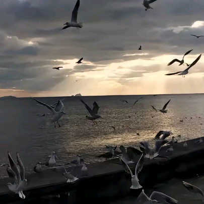 江山xczv海报