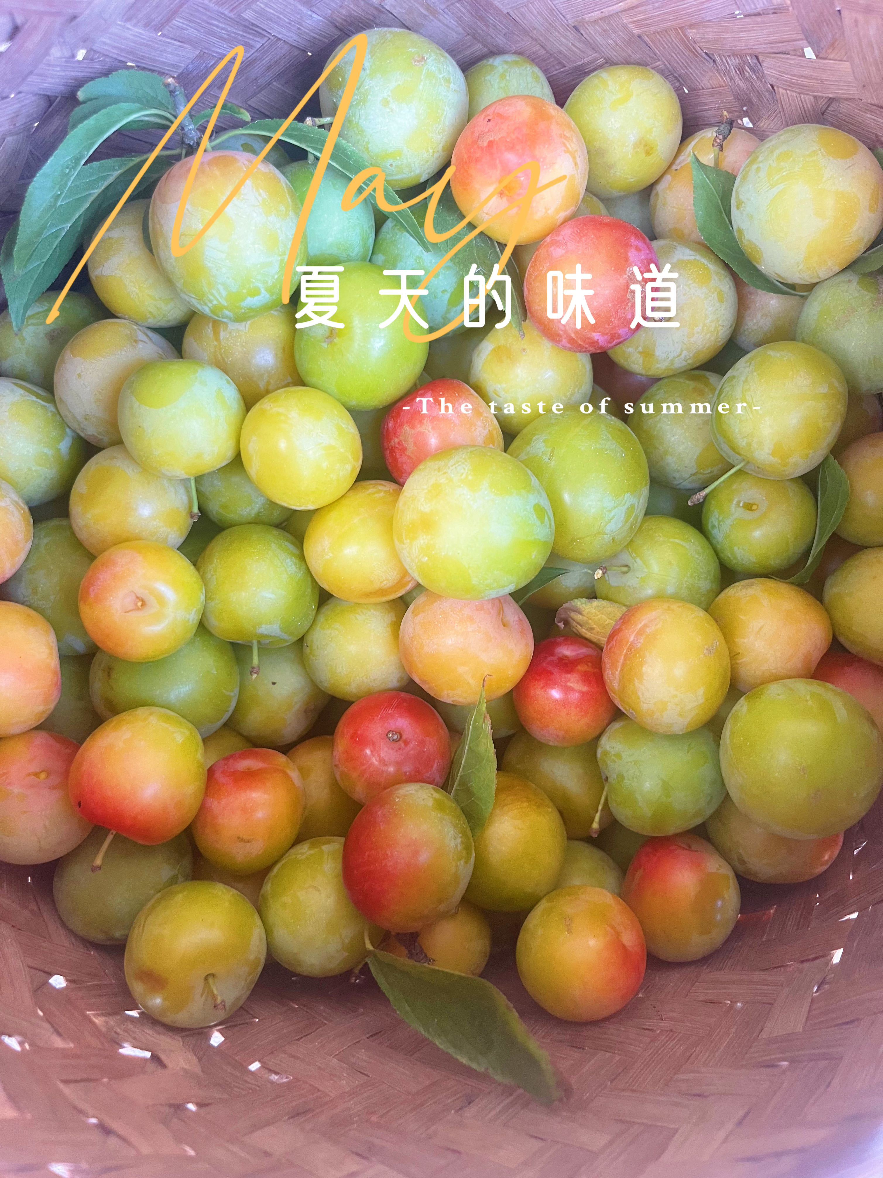 超甜糖经理深情演唱主播图片