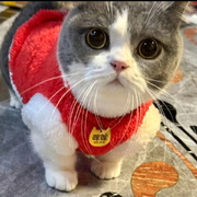独宠💞的头像