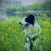 米滴滴，北京