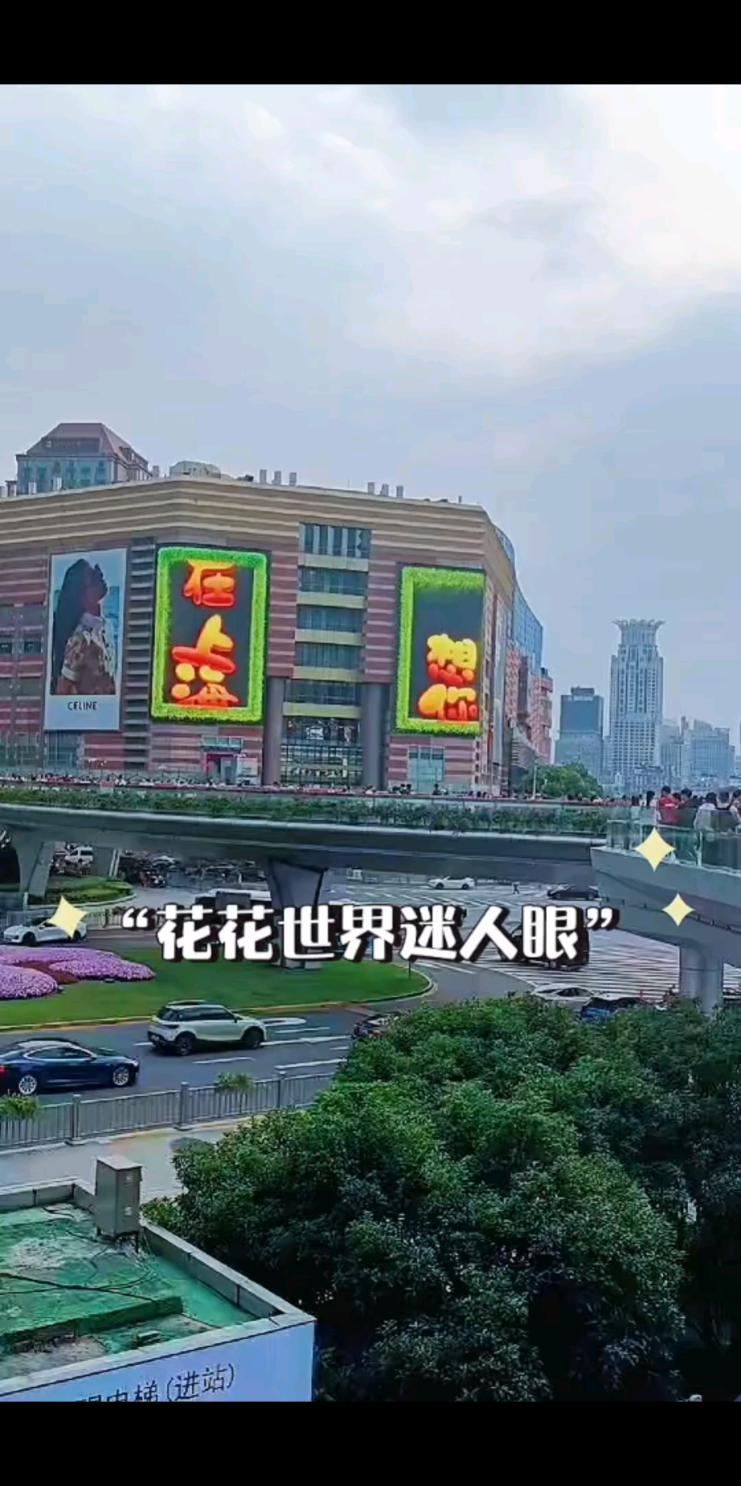 美丽魔都👌