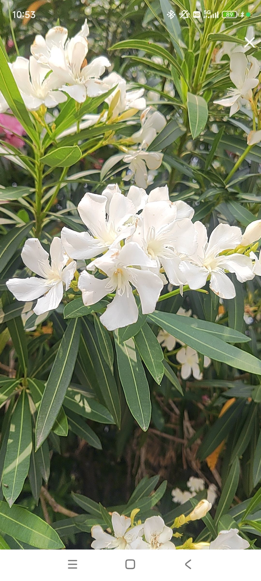 婷💕求过月底任务的图片