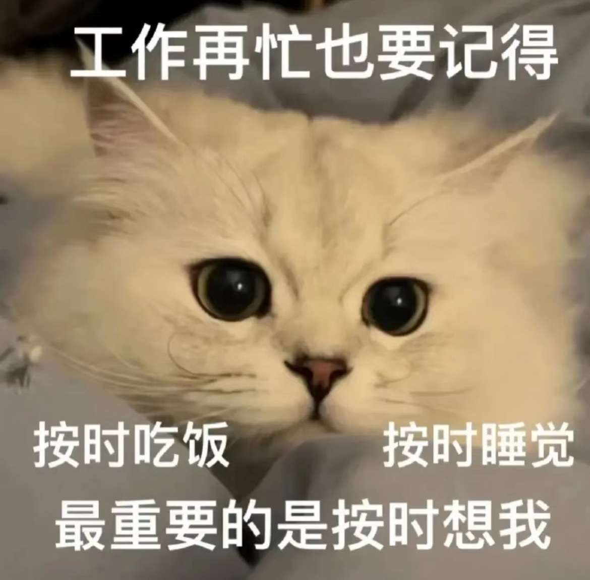 宝儿家中有事休主播图片
