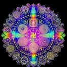 秋天落叶5a的头像