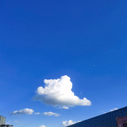 无缘*l9