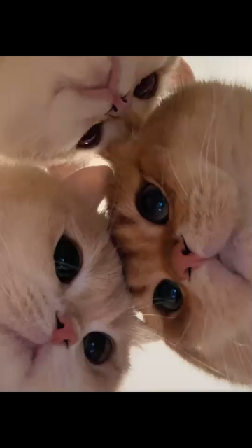 ??