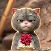 小可爱本人℡