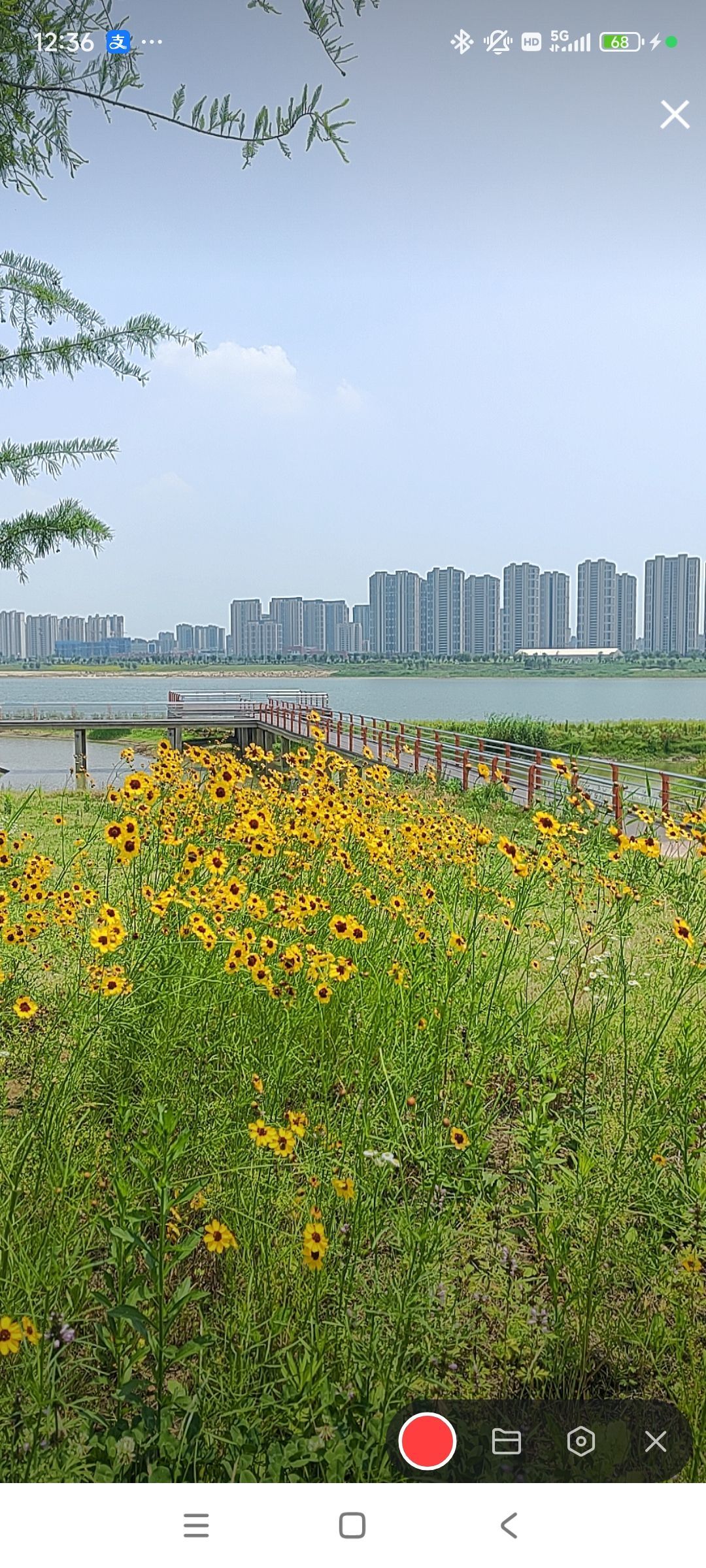 婷💕求过月底任务的图片