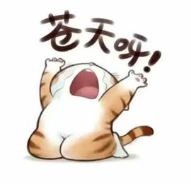 莫言，六月求善待！主播照片