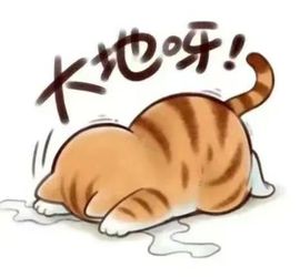莫言，六月求善待！主播照片