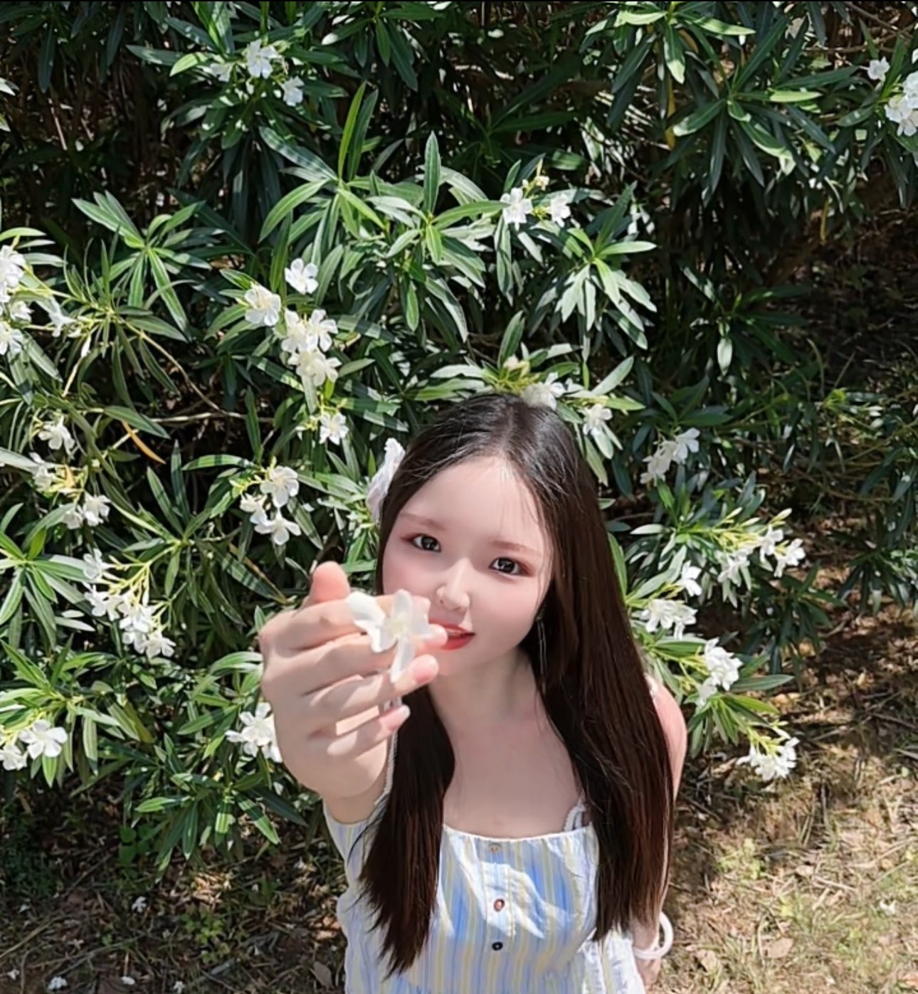 新人安娜呀的图片