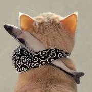 不吃腥的猫🦊海报