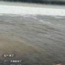 切醉待山雨