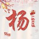 A杨大勇150465