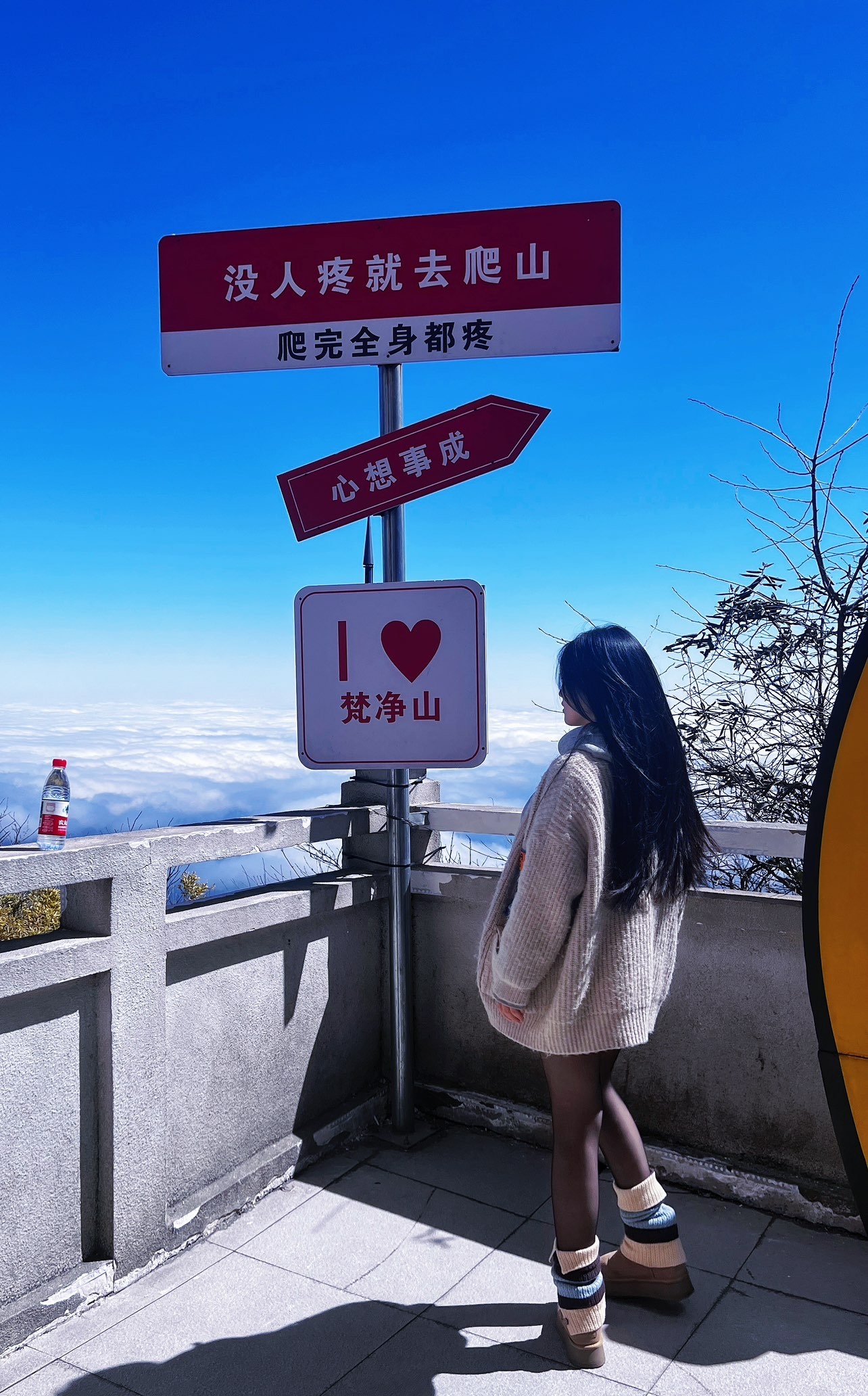 软趴趴🧸早上播主播图片