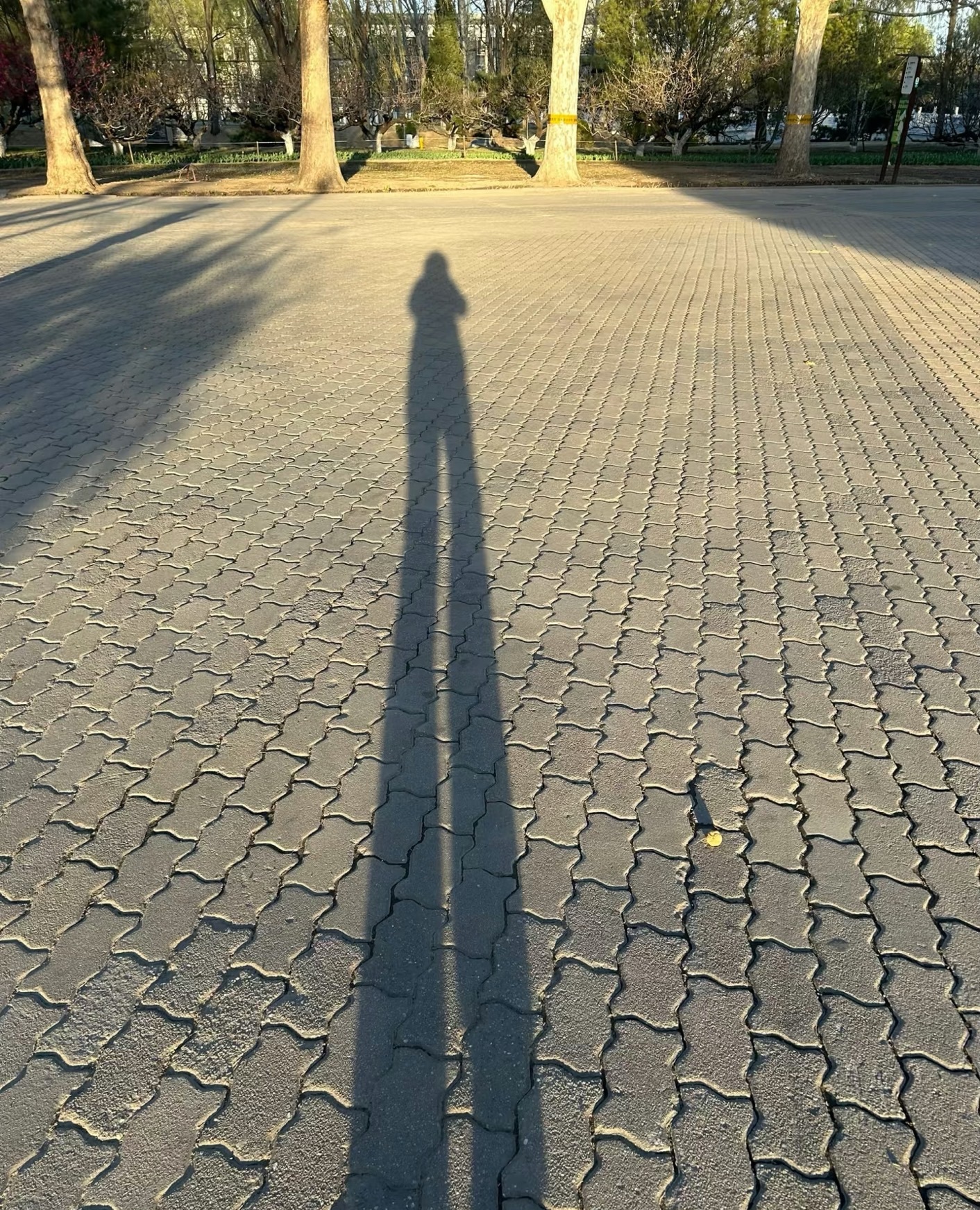 只只一切随缘的图片