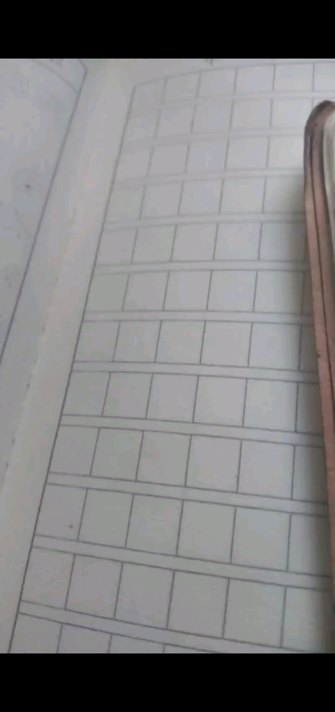 我自己写的木头见笑了