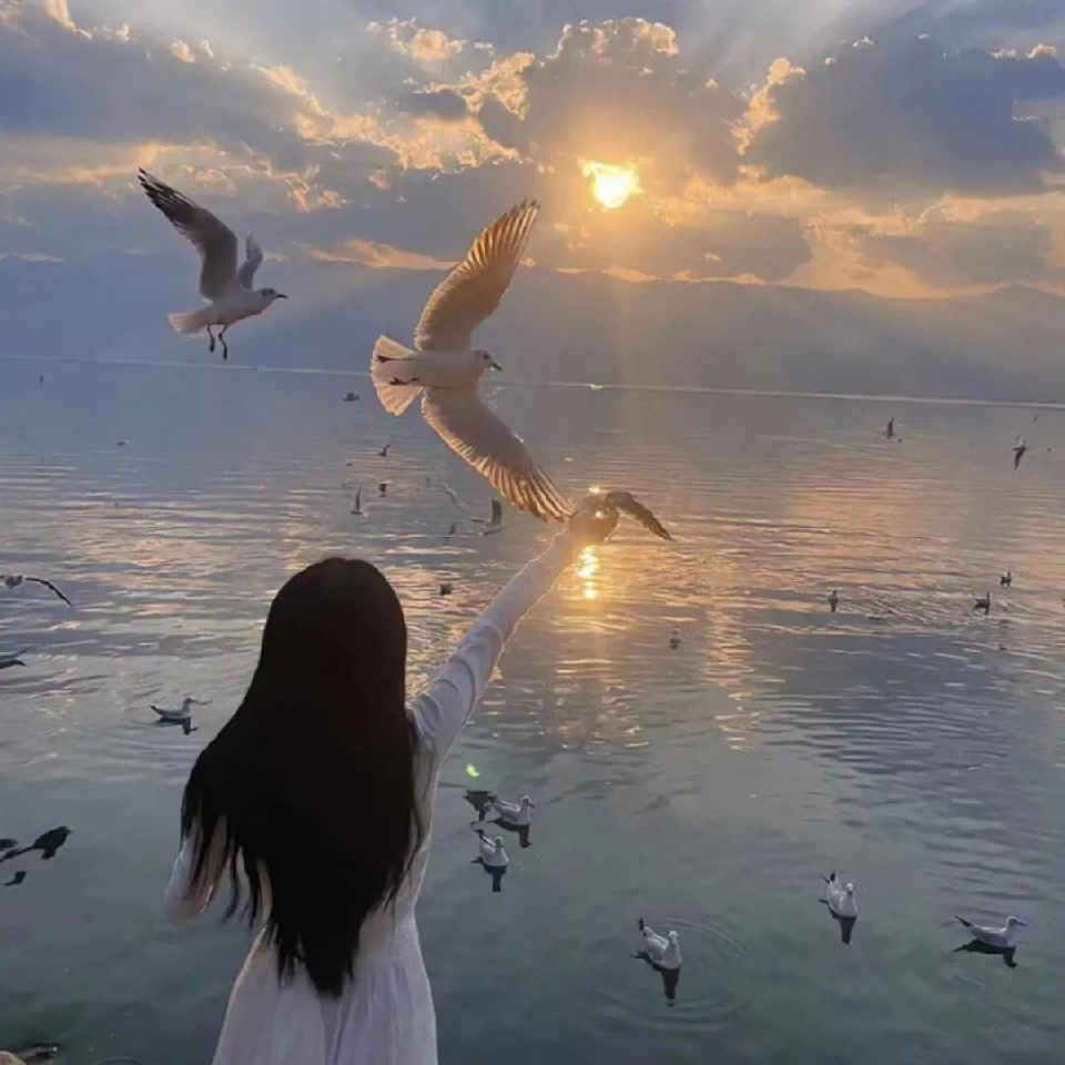 沈眠霜海报