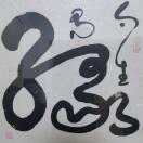 功甲m的头像