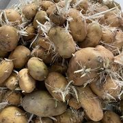 萌新宝宝14hYg的头像