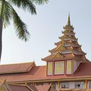 柳树毛虫