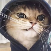 卖梦人～