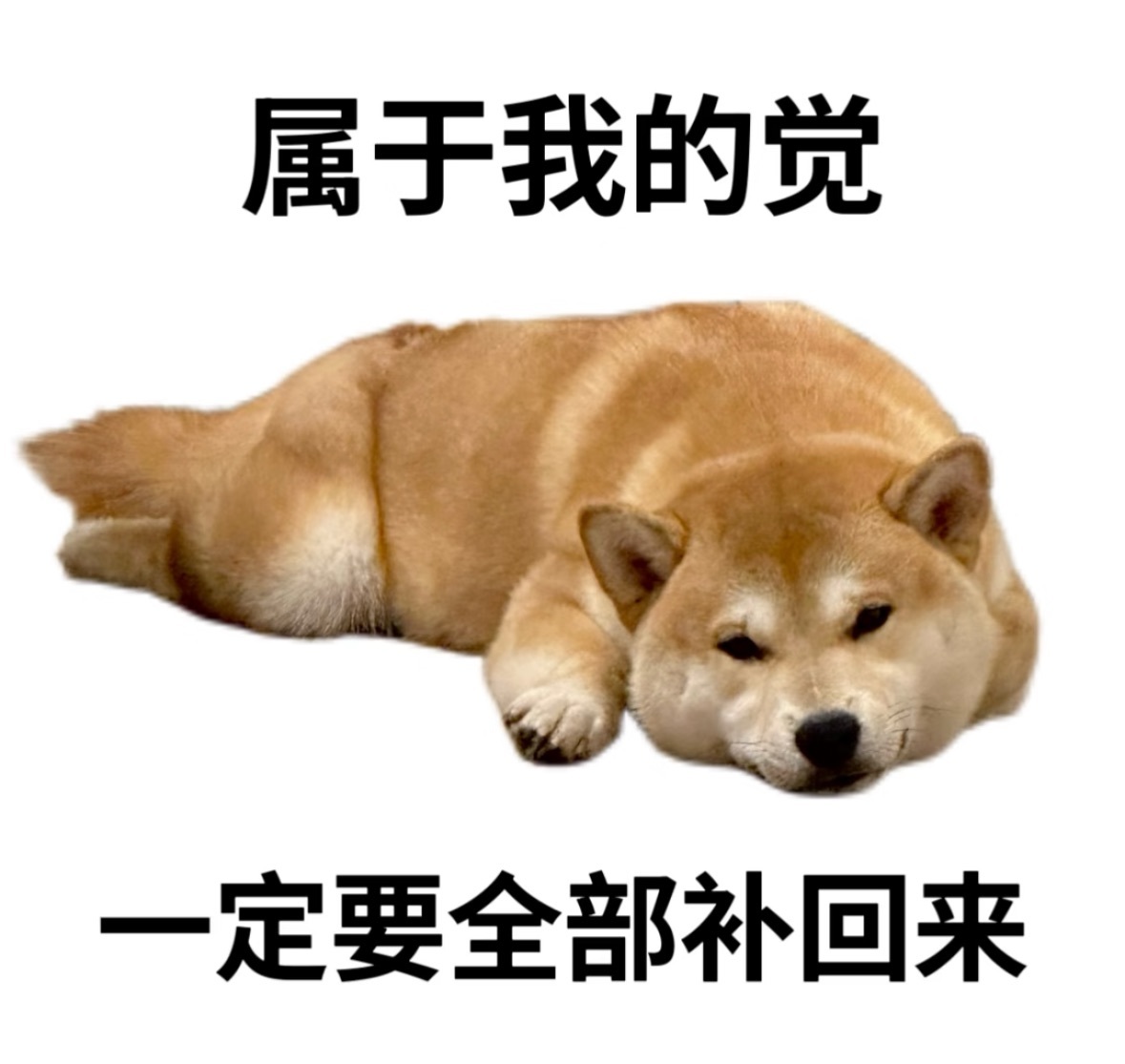大拉馨💌休息💌主播图片
