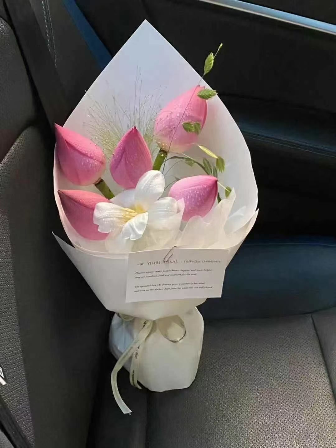 妞妞骑行中国的图片