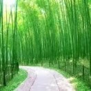 高山流水樊占先