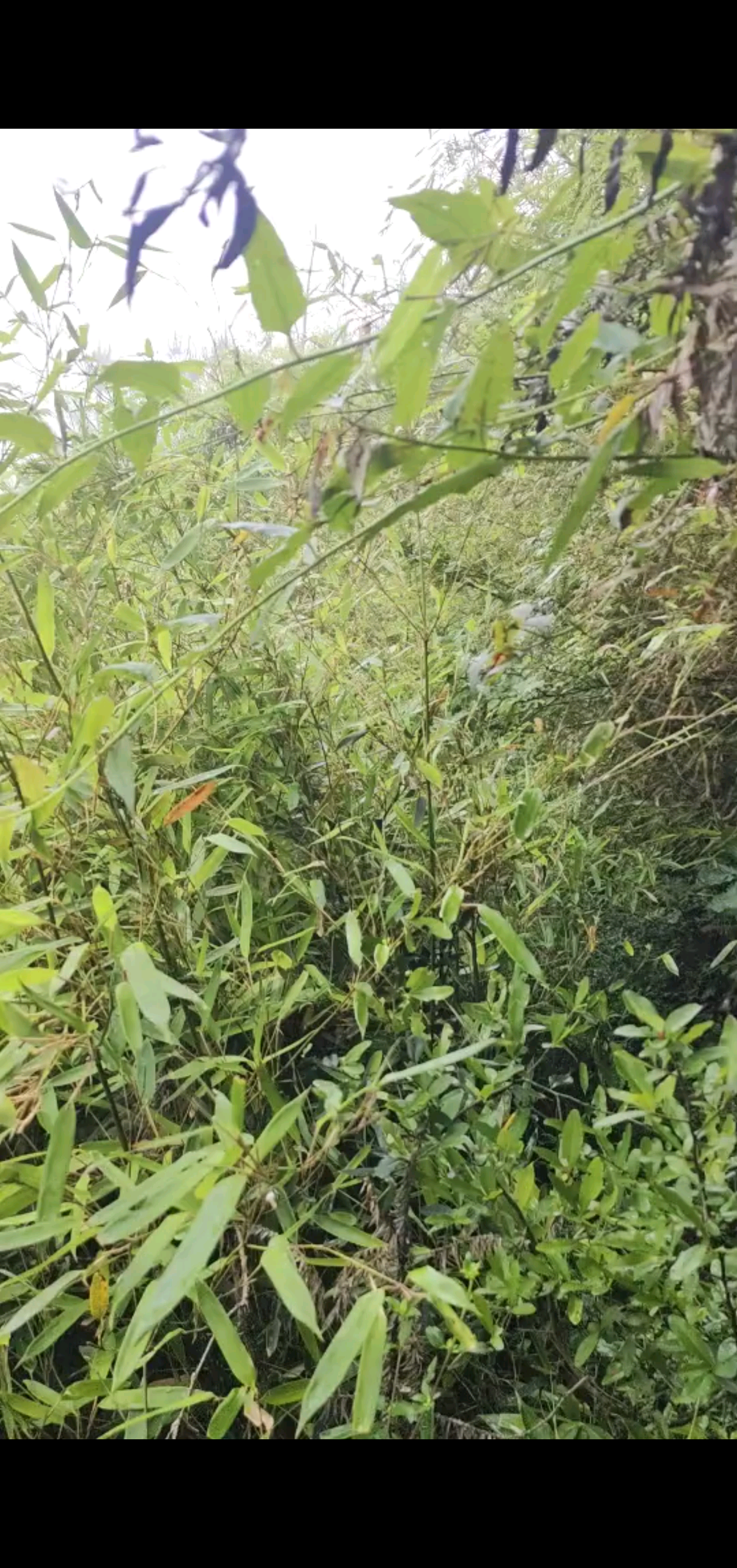 在这最艰难的时刻。我