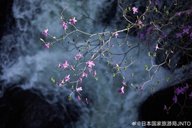 Mr.琳.伝c主播照片