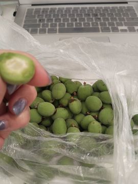 野百合的春天🌱🌱主播照片
