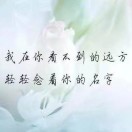 豫Q小伙