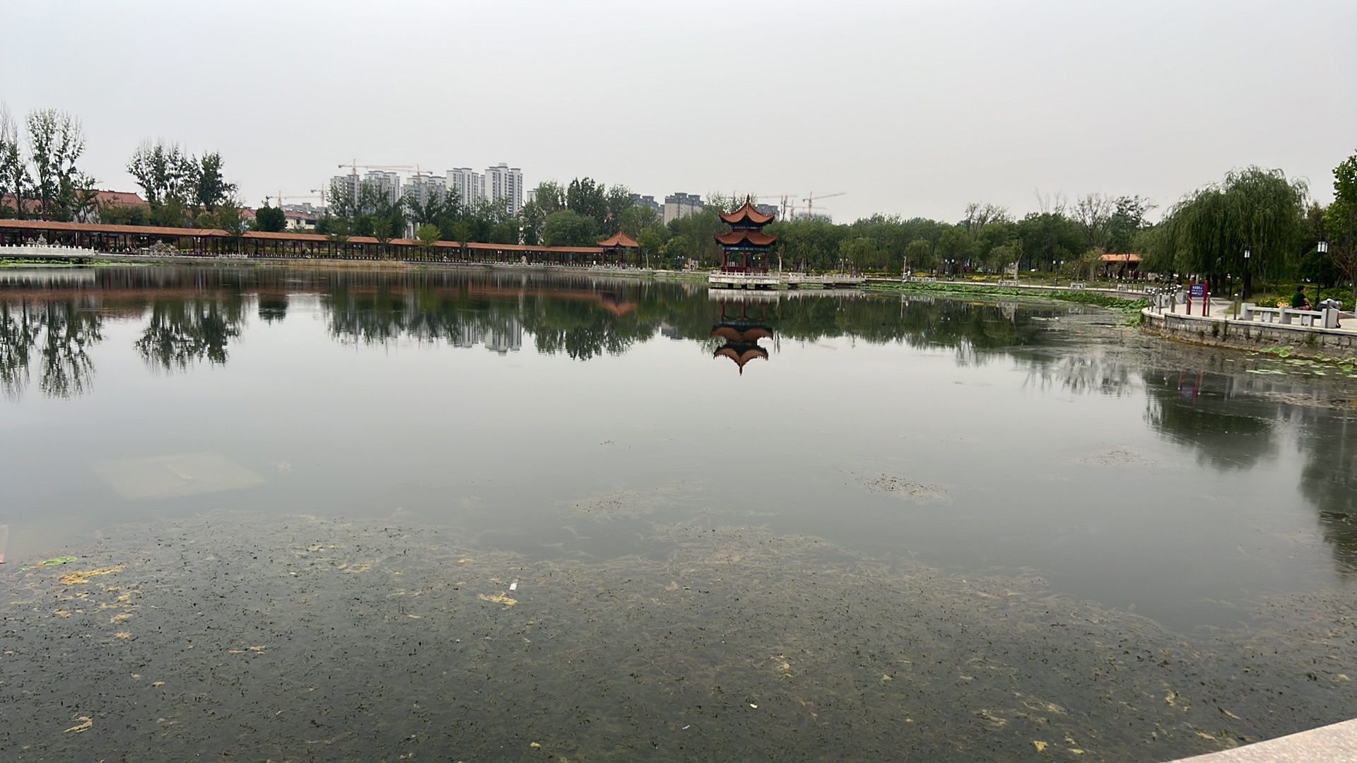 旺仔带你户外游主播图片