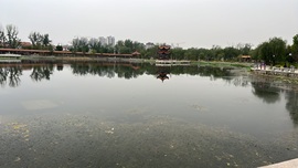 旺仔带你户外游的图片