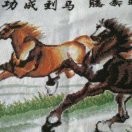 天下s7sg
