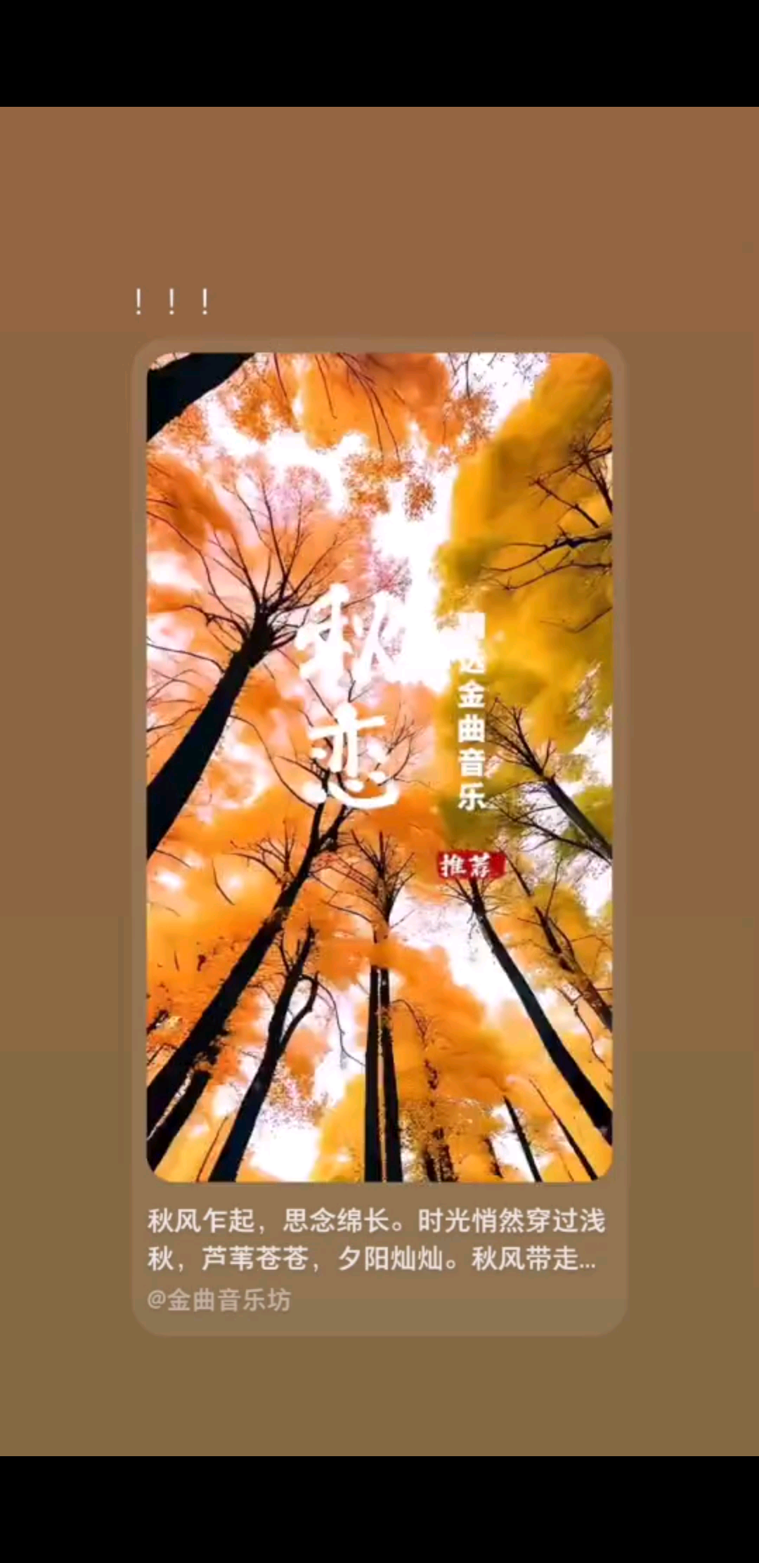 辛门秋春得季节