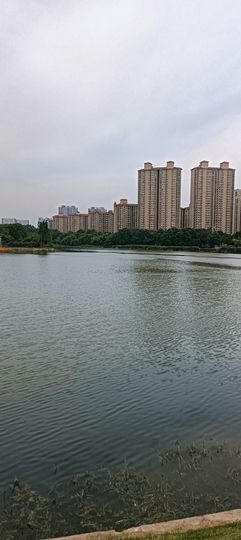 傲世_天下主播照片