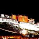 爱笑的海哥-1380