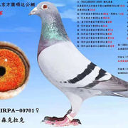 じove→感恩.
