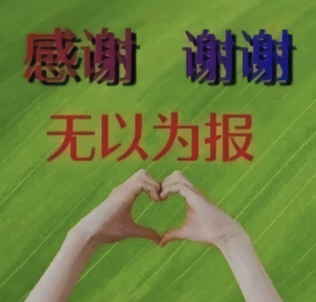 艾.琳《君开心》的图片