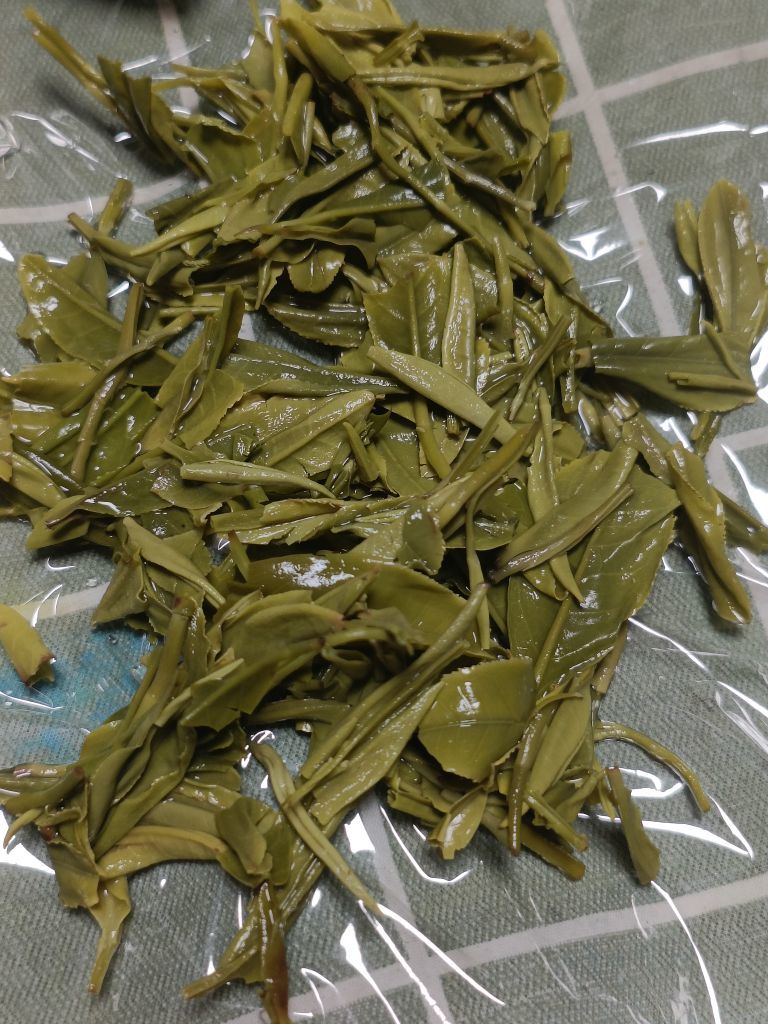 茶茶幸运星的图片