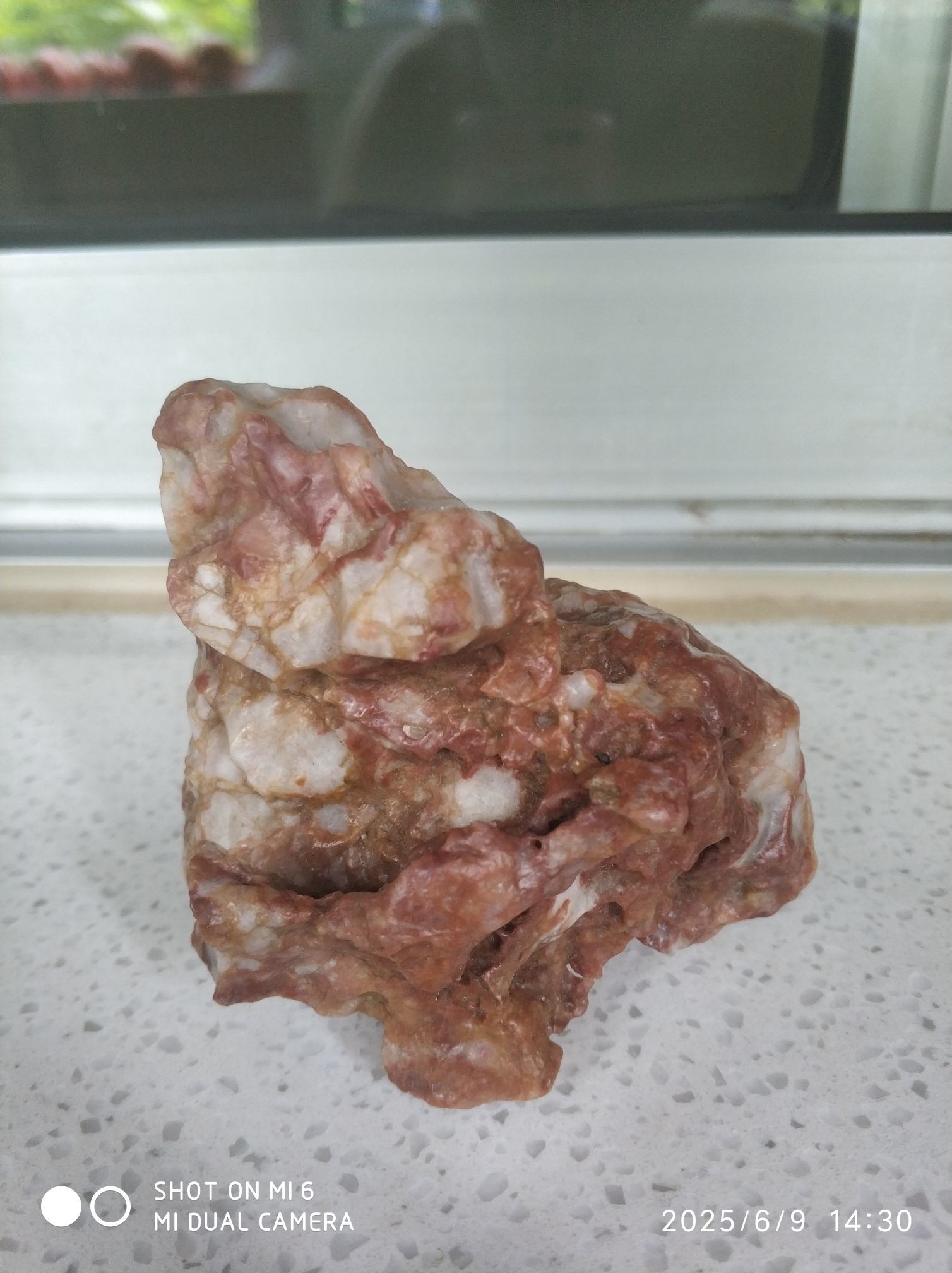 异()化技大饿死主播图片