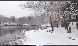 ╰つ子雲╰ゞ主播照片