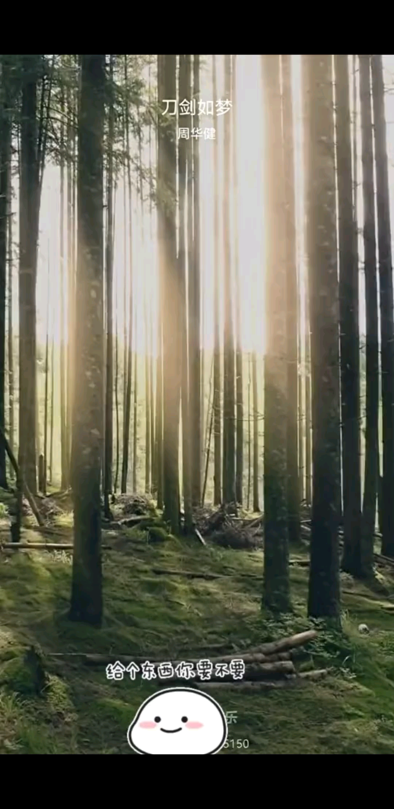 雅俗共赏-小骨