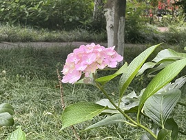 欣瑶/中午12-5主播照片