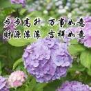 韦冬a