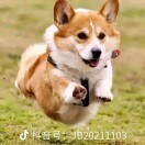光明未来y$