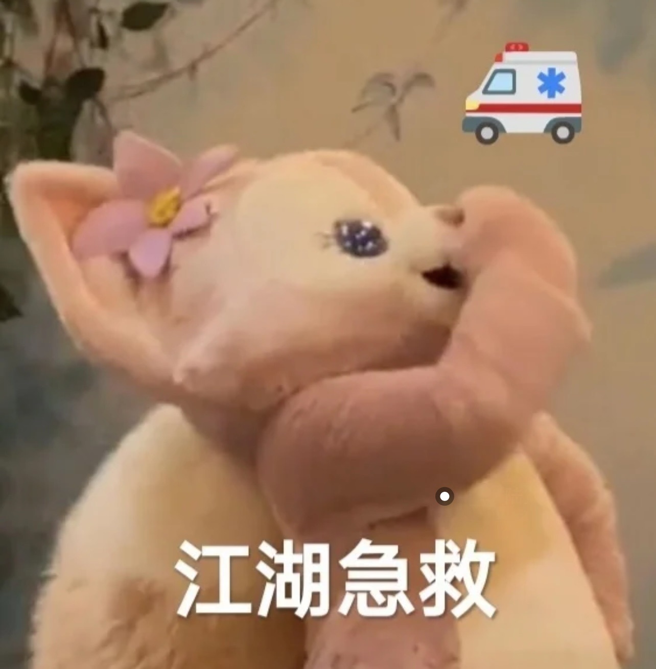 虞月ing主播圖片